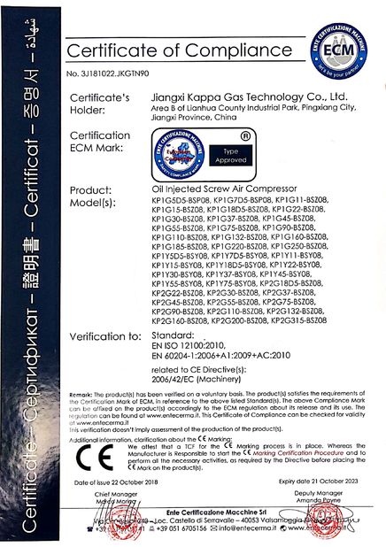 Chine Jiangxi Kappa Gas Technology Co.,Ltd certifications